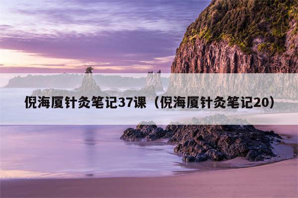 倪海厦针灸笔记37课（倪海厦针灸笔记20）