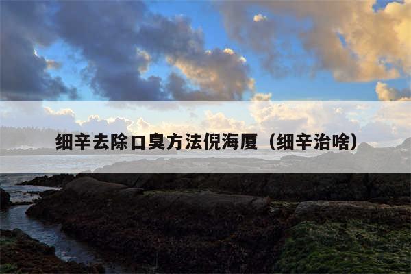 细辛去除口臭方法倪海厦（细辛治啥）