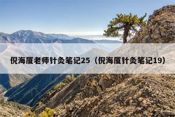 倪海厦老师针灸笔记25（倪海厦针灸笔记19）