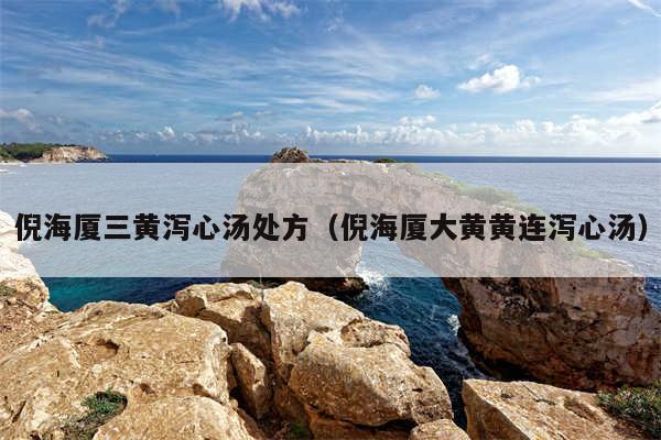 倪海厦三黄泻心汤处方（倪海厦大黄黄连泻心汤）