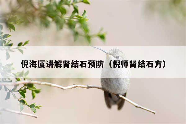 倪海厦讲解肾结石预防（倪师肾结石方）