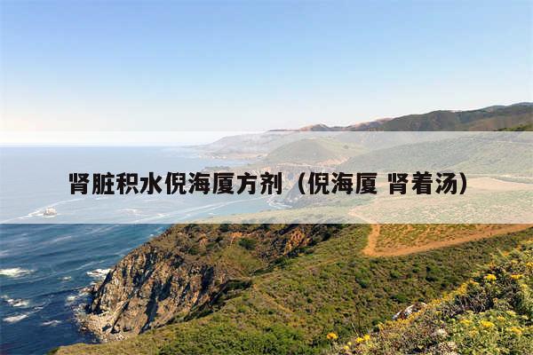 肾脏积水倪海厦方剂（倪海厦 肾着汤）