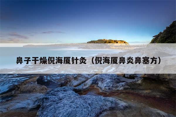 鼻子干燥倪海厦针灸（倪海厦鼻炎鼻塞方）