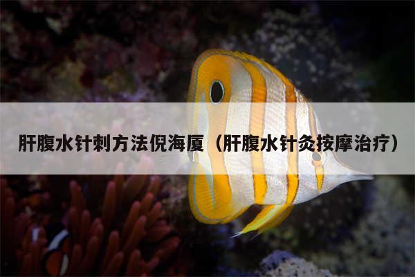 肝腹水针刺方法倪海厦（肝腹水针灸按摩治疗）