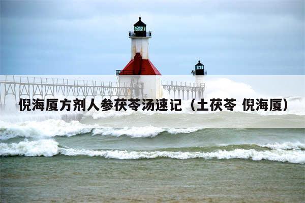 倪海厦方剂人参茯苓汤速记（土茯苓 倪海厦）