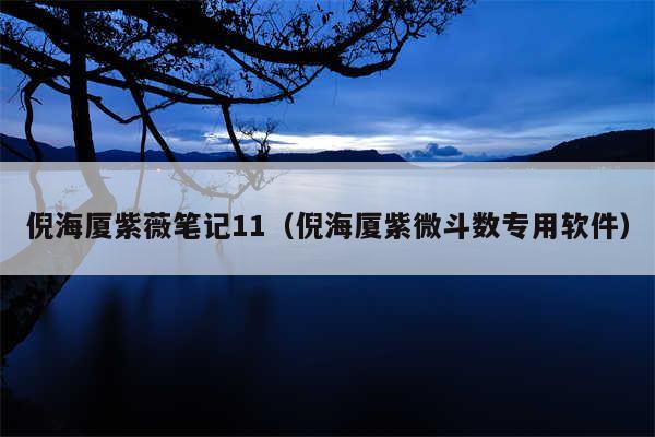 倪海厦紫薇笔记11（倪海厦紫微斗数专用软件）