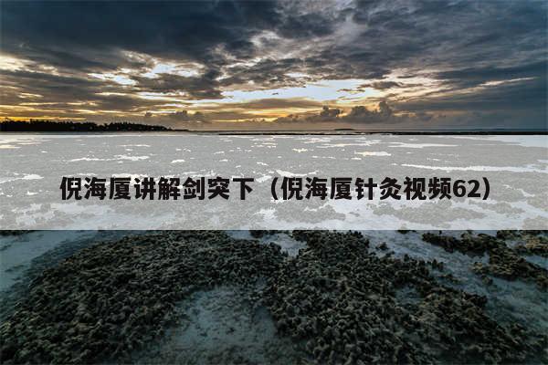 倪海厦讲解剑突下（倪海厦针灸视频62）