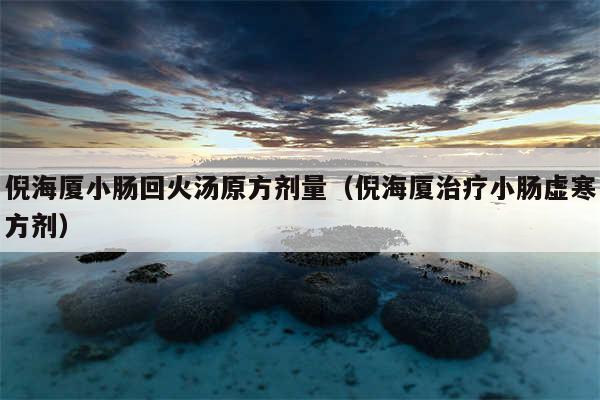 倪海厦小肠回火汤原方剂量（倪海厦治疗小肠虚寒方剂）