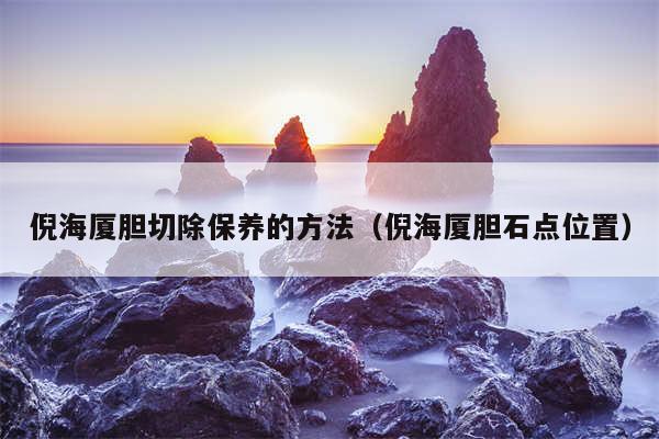 倪海厦胆切除保养的方法（倪海厦胆石点位置）