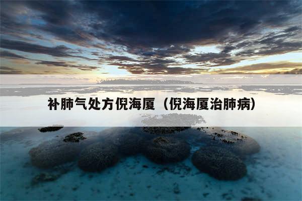 补肺气处方倪海厦（倪海厦治肺病）