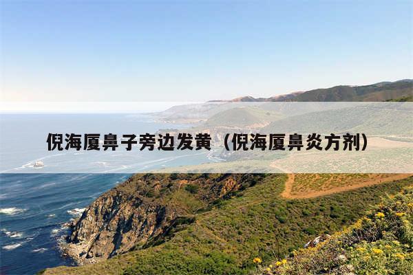 倪海厦鼻子旁边发黄（倪海厦鼻炎方剂）