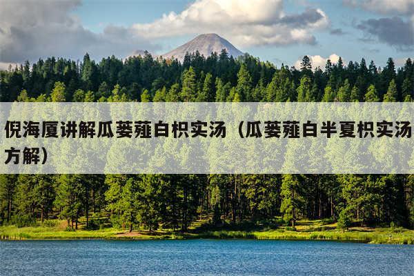 倪海厦讲解瓜蒌薤白枳实汤（瓜蒌薤白半夏枳实汤方解）