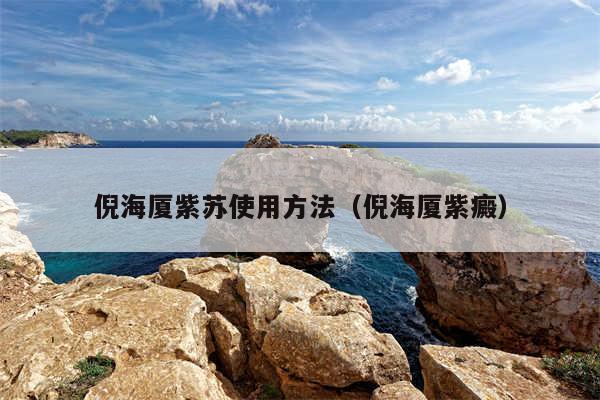 倪海厦紫苏使用方法（倪海厦紫癜）