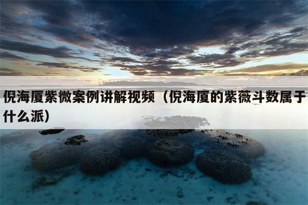 倪海厦紫微案例讲解视频（倪海厦的紫薇斗数属于什么派）