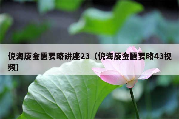 倪海厦金匮要略讲座23（倪海厦金匮要略43视频）